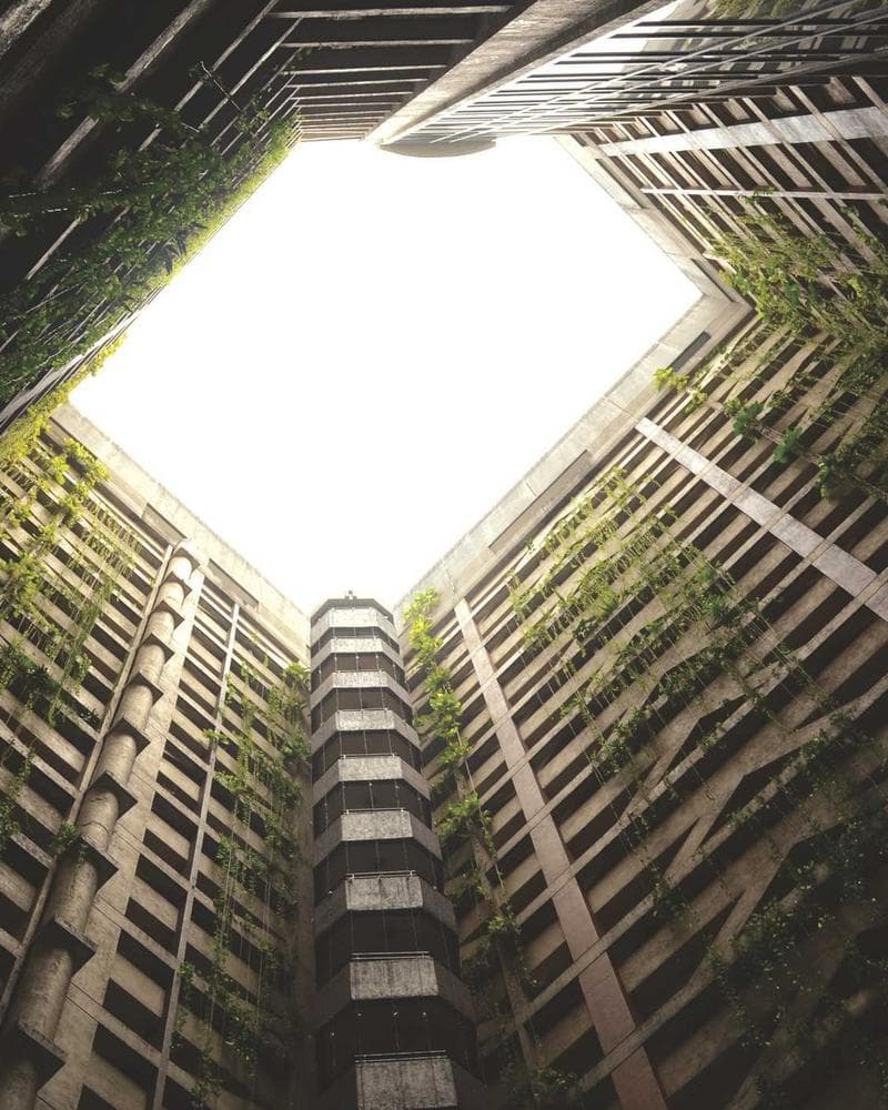 Kaanan Export Quality Products